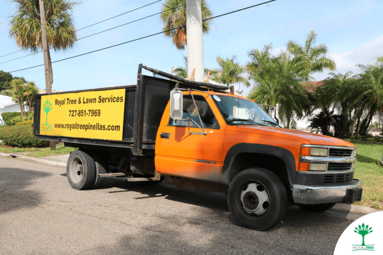 Use our hauling service